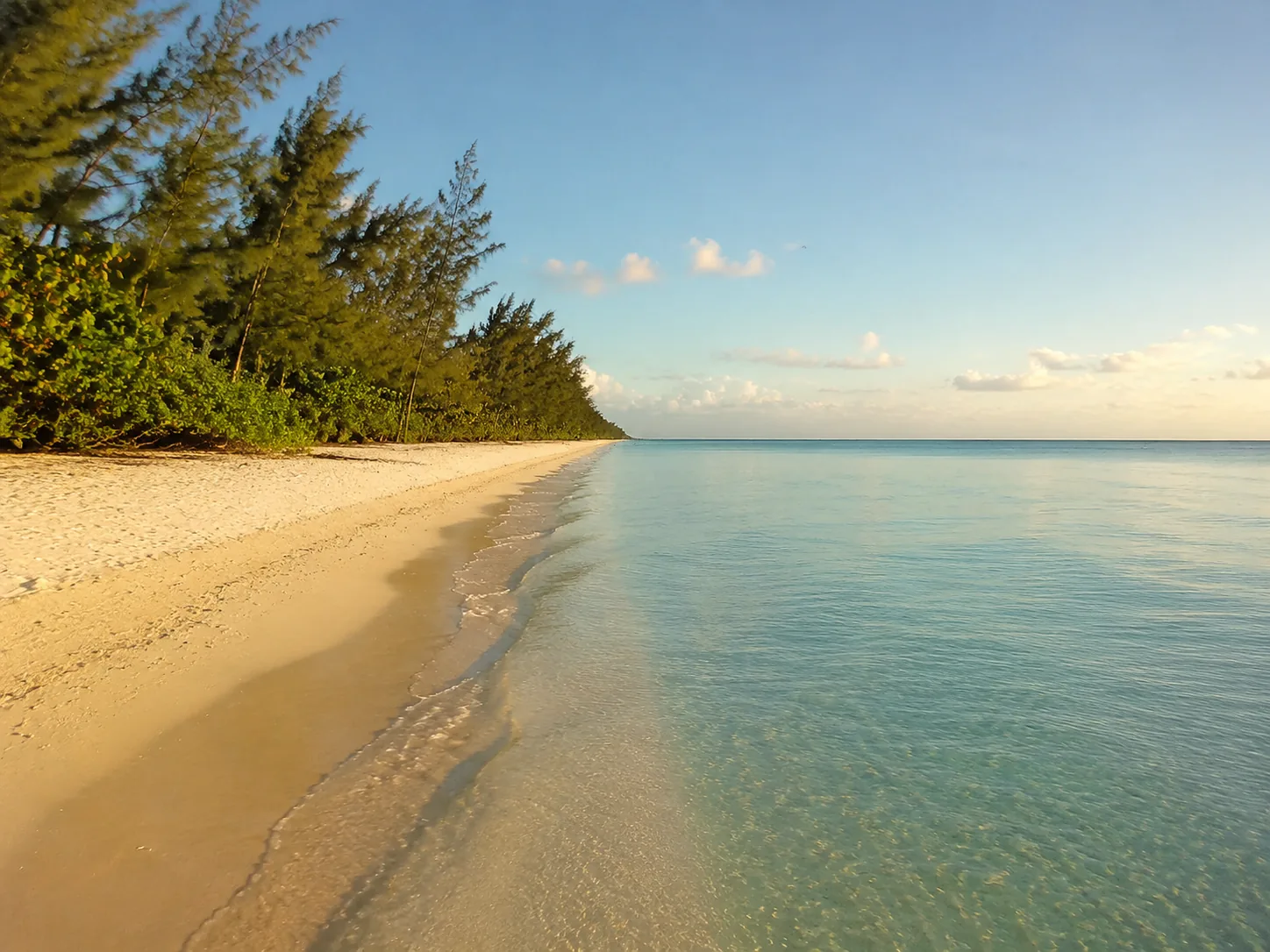 A low sandy beach at the edge of casuarina trees with flat pale-turquoise water running out to the horizon under a light sky