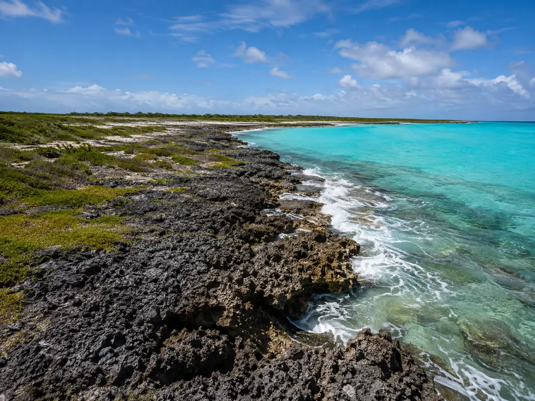 Black weathered ironshore limestone along the coast with surf breaking white against it and turquoise shallows beyond
